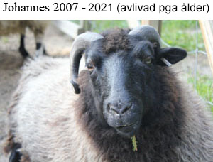 B121 Johannes copy.jpg